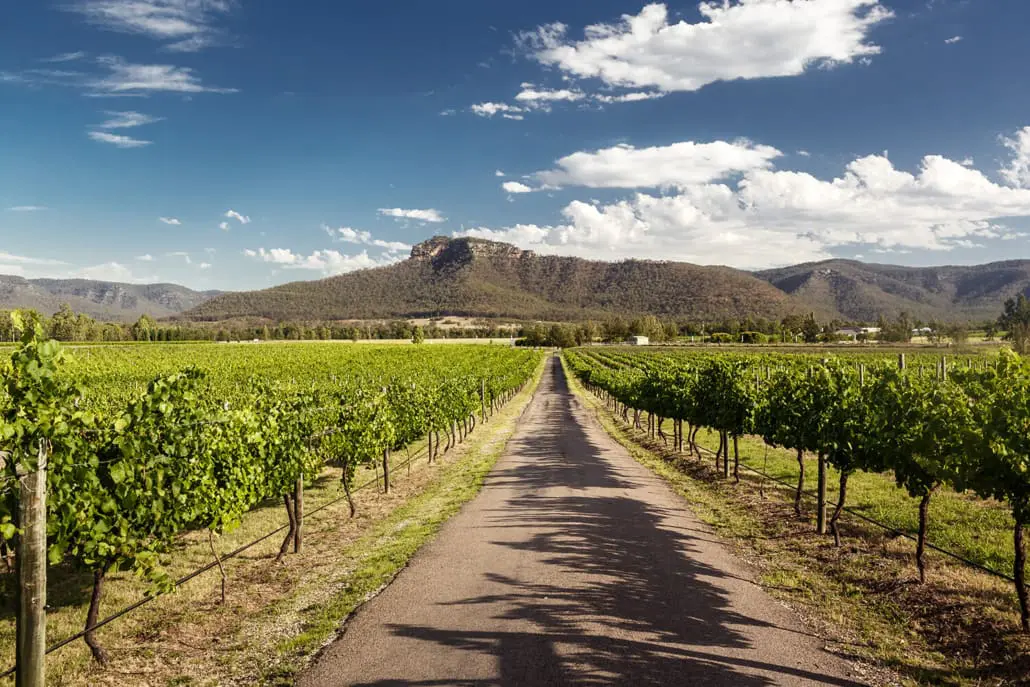 Chic Chauffeur Services Wine Tours, Visit your favourite winery in style.